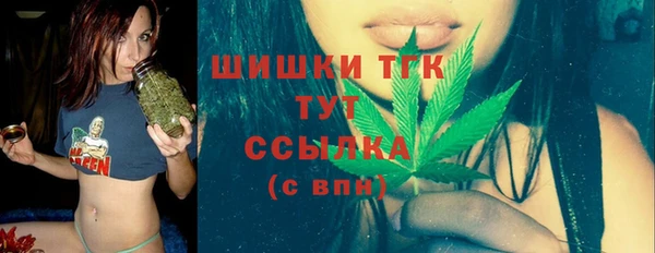 сатива Арсеньев