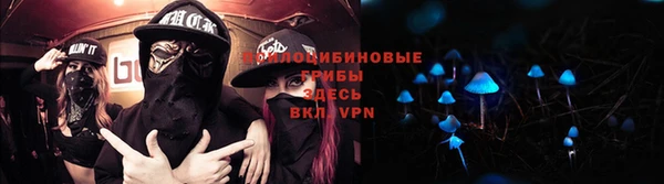 сатива Арсеньев