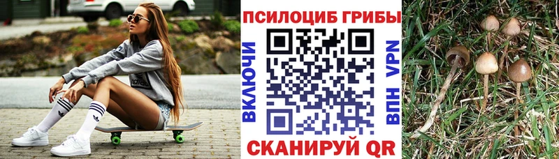 Галлюциногенные грибы Cubensis  купить наркотики цена  Лысково 